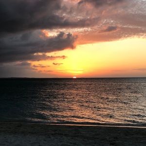 Meet your Posher, Talia